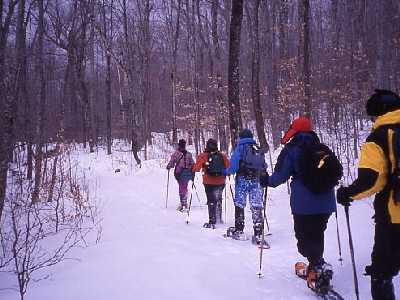 photo of a group snowshoeing in the woods