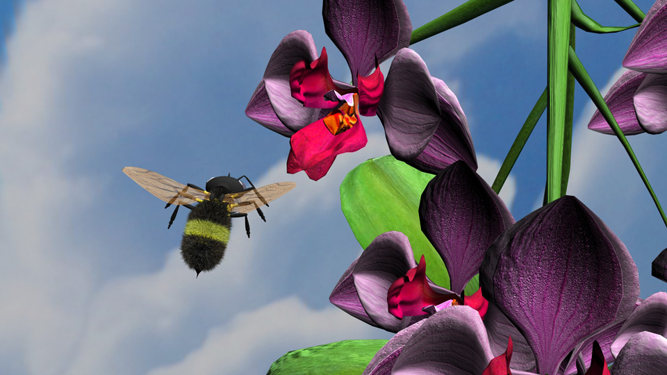 Bee and Orchid